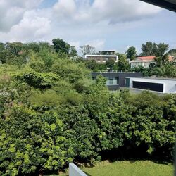 White House Park (D10), Detached #464110341